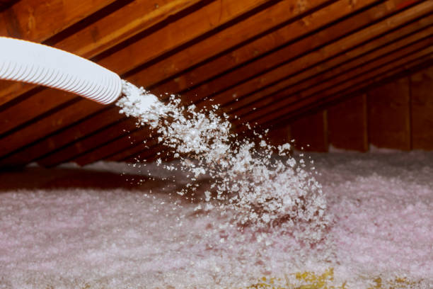 Best Cellulose Insulation in Edgewood, FL