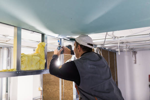 Best DIY Insulation Kits and Guidance in Edgewood, FL