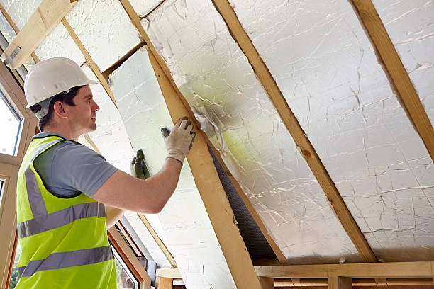 Best Specialized Insulation Services in Edgewood, FL
