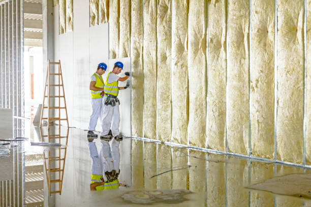 Best Specialized Insulation Services in Edgewood, FL
